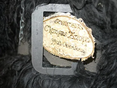 Maskenausstellung Greifenburg 2014 Bild 81